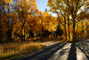 Poudre Campground